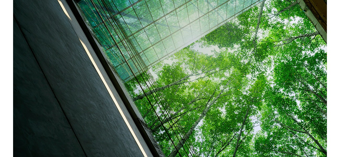 Sustainability
